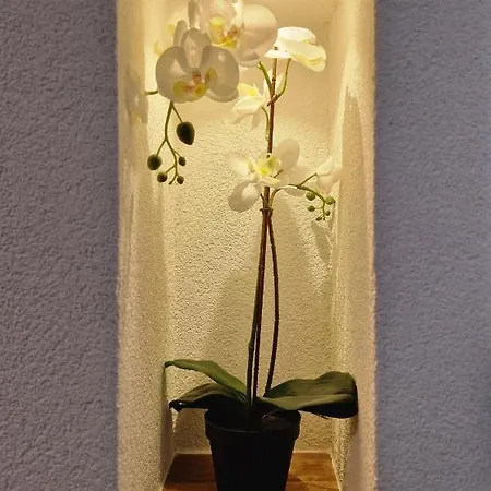 Fewo's Und Apartment's Schoeneck