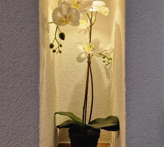 Fewo's Und Apartment's Schoeneck